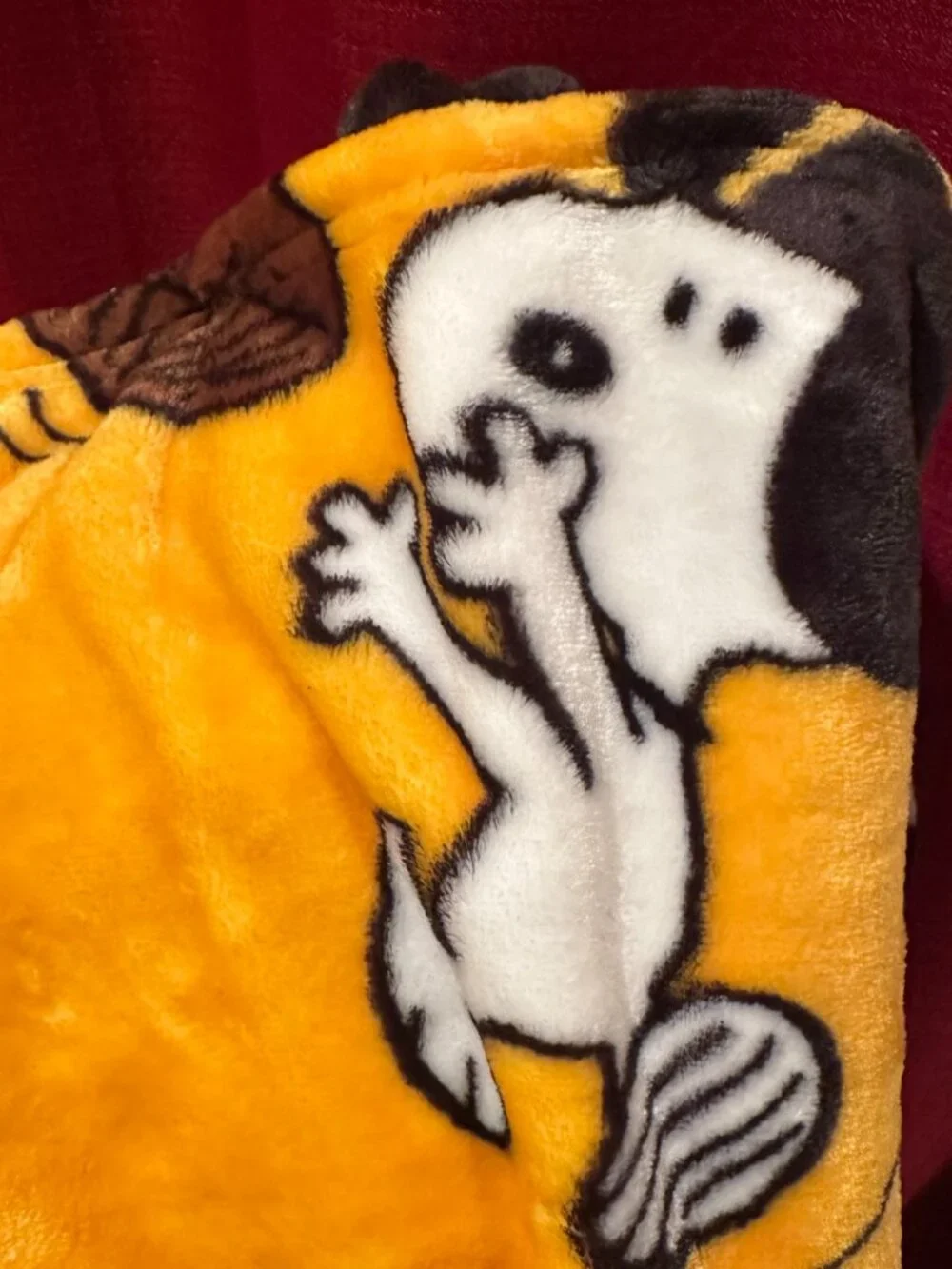 Peanuts NFL Pittsburgh Steelers Snoopy 60